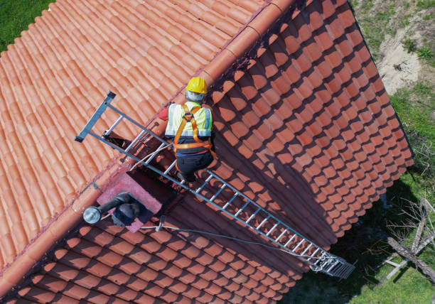 Best Chimney Flashing Repair  in Moa, UT